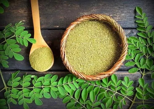 Premium Organic Moringa Leaf Powder 2 lbs - Antioxidant-Rich Superfood for Hair & Immune Support - Perfect for Teas & Drinks - Sustainably Grown in India - Vegan